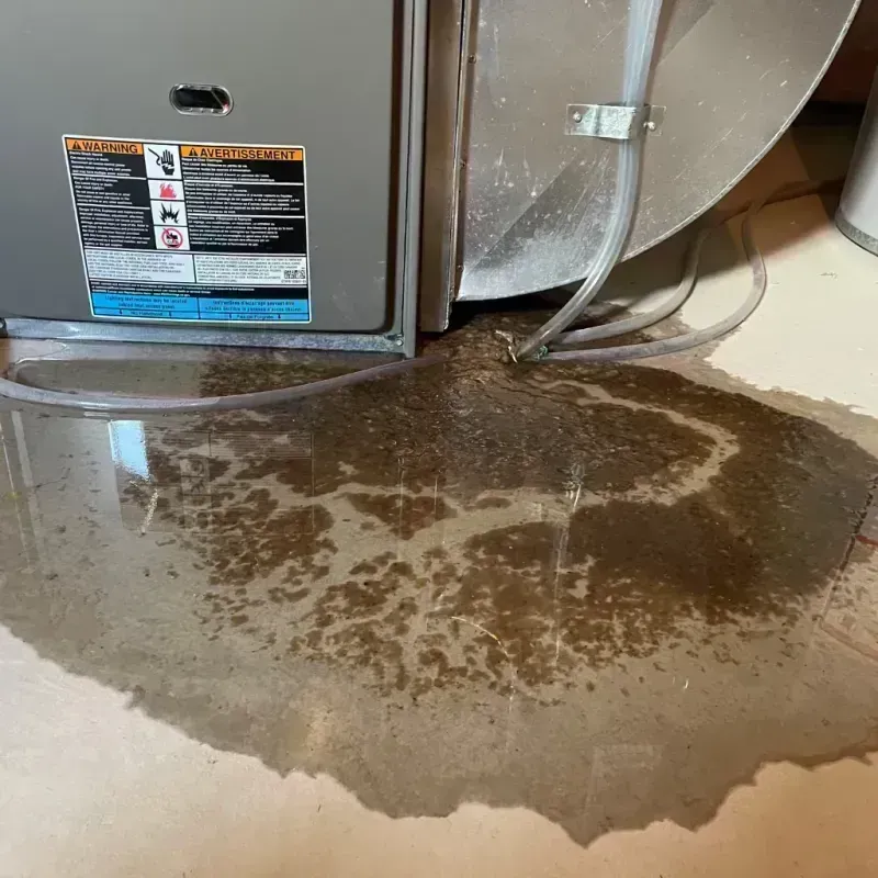 Appliance Leak Cleanup in Carrizozo, NM